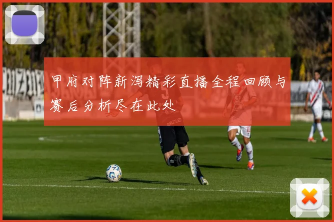 甲府对阵新泻精彩直播全程回顾与赛后分析尽在此处