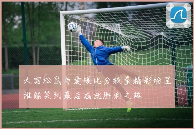 大宫松鼠与爱缓比分较量精彩纷呈谁能笑到最后成就胜利之路