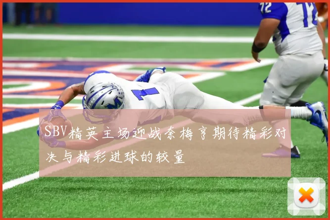 SBV精英主场迎战奈梅亨期待精彩对决与精彩进球的较量