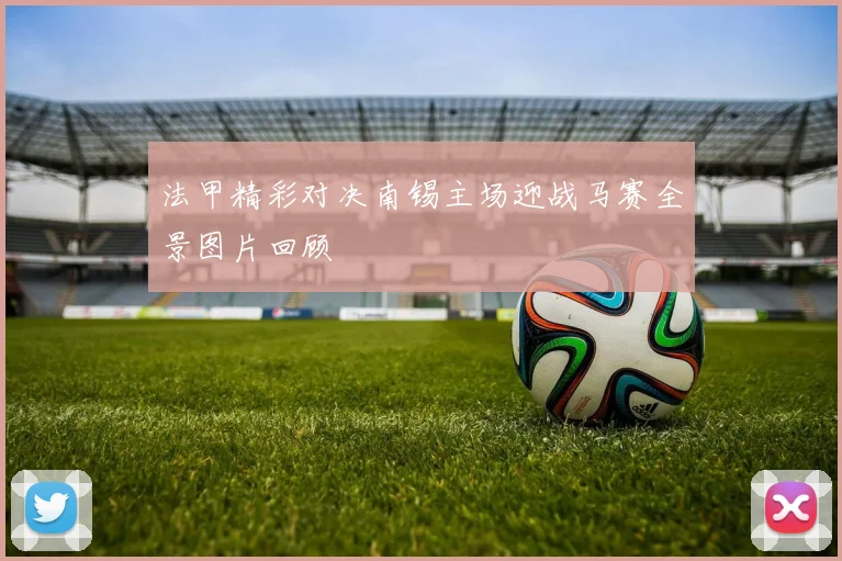 法甲精彩对决南锡主场迎战马赛全景图片回顾