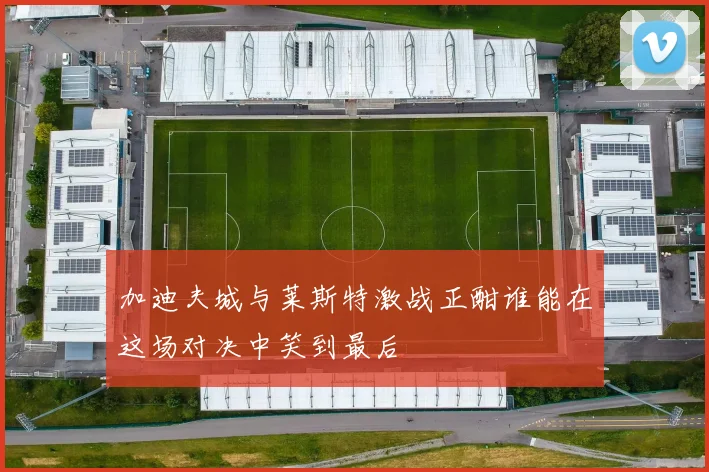 加迪夫城与莱斯特激战正酣谁能在这场对决中笑到最后
