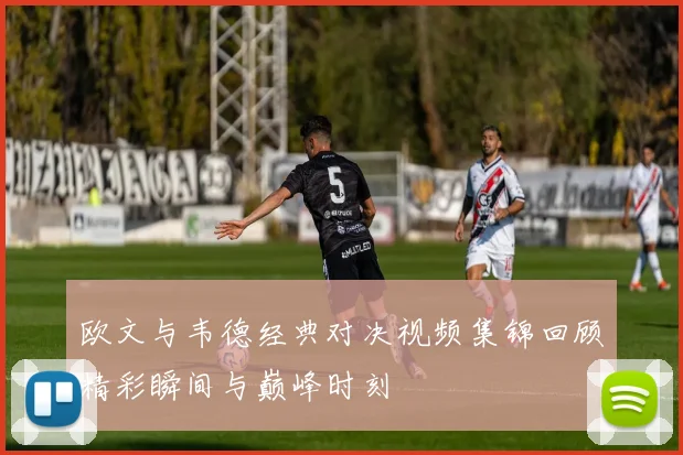 欧文与韦德经典对决视频集锦回顾精彩瞬间与巅峰时刻