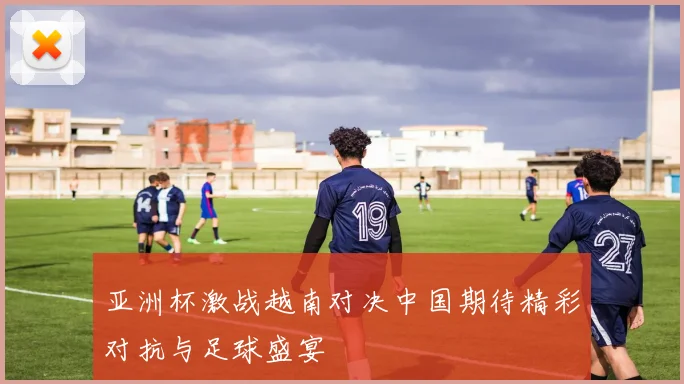 亚洲杯激战越南对决中国期待精彩对抗与足球盛宴
