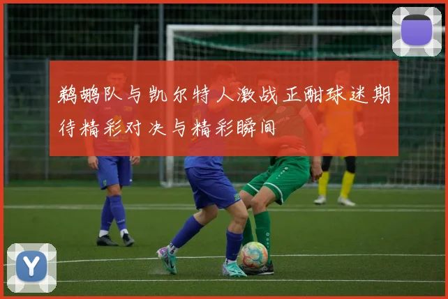 鹈鹕队与凯尔特人激战正酣球迷期待精彩对决与精彩瞬间