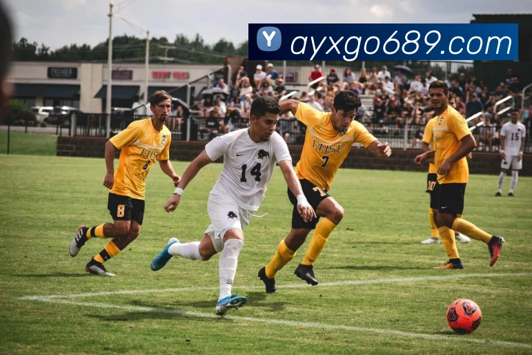 多媒体互动体验